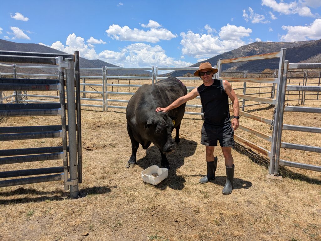 Dr Tim - cattle check